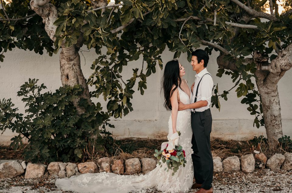 6 Reasons why you should hire a professional wedding photographer